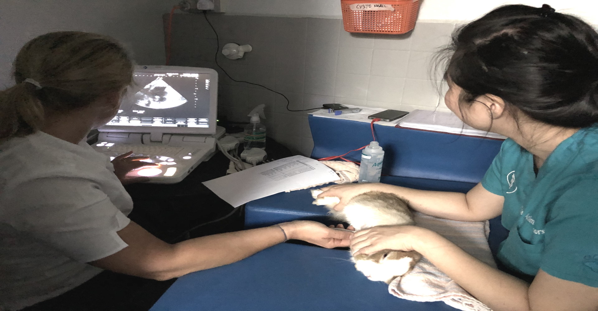 Mobile Ultrasound Service Mobile Ultrasound Service