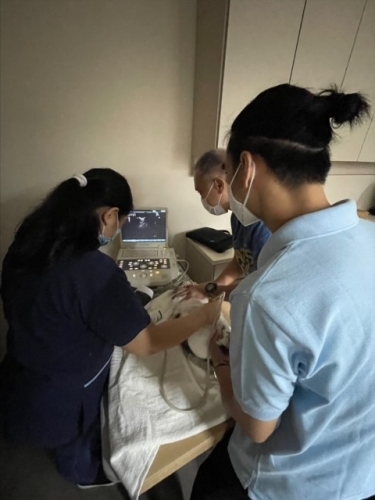 Ultrasound Workshop 1st May 2022