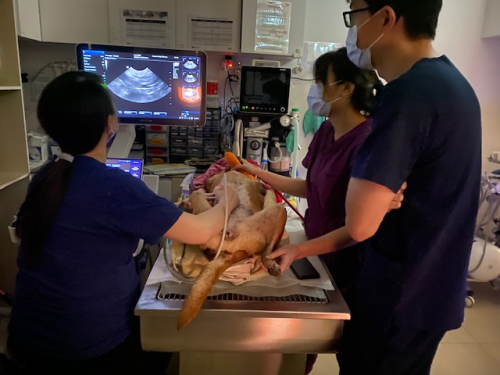 In-Clinic Training - Atlas, 17 June 2023