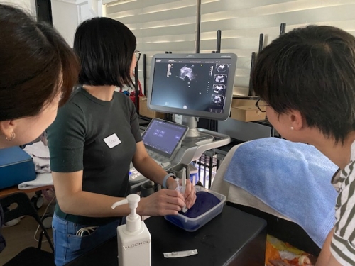 In-Clinic Training - Mount Pleasant, 29 June 2023