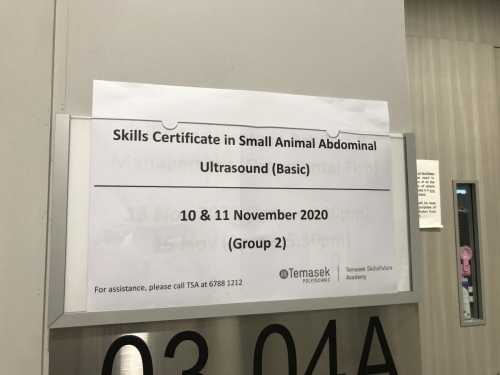 Basic Abdominal Course at Temasek Polytechnic 9th-11th November 2020