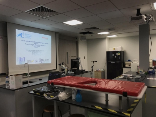 1 day Echo Practical Course at Temasek Polytechnic 12th Nov 2020