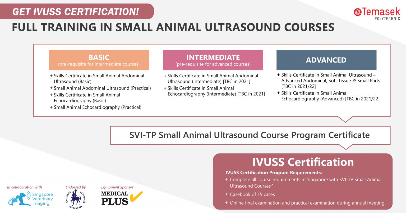 Ultrasound Courses Singapore Veterinary Imaging